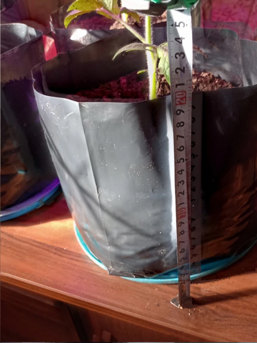 Пакеты для рассады 6 литров